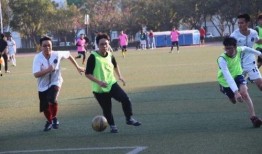 体育会系在线观看