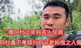 二婚阿杜爆料视频完整版,揭秘娱乐圈背后的惊人真相